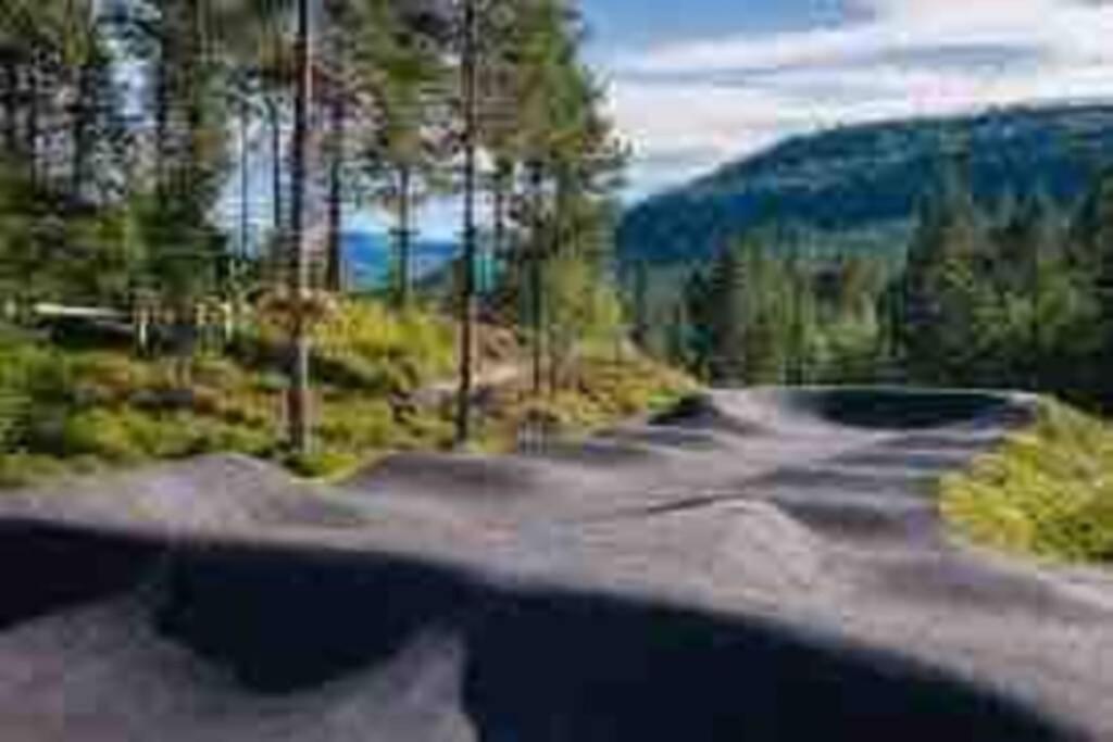 Hytte I Stryn Med Elbil Lader Luaran gambar